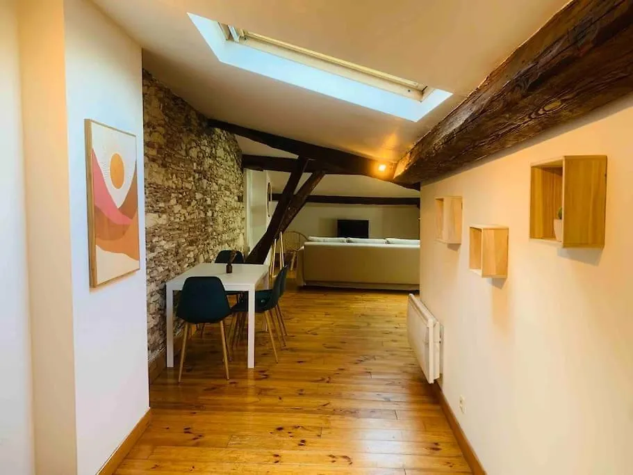 Spacieux Appartement En Plein Coeur De Castres Castres
