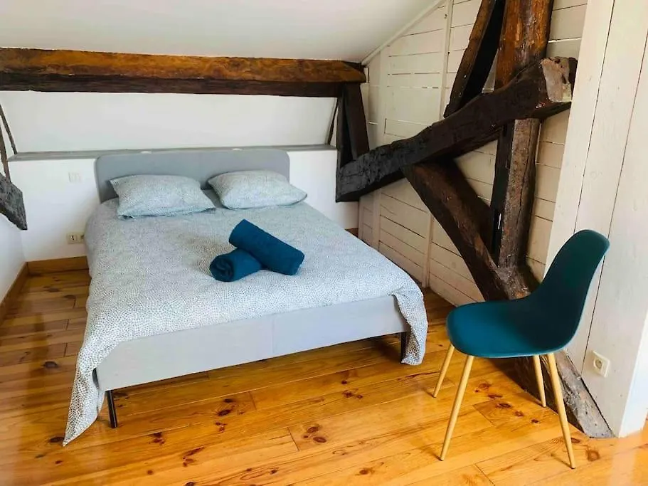 Spacieux Appartement En Plein Coeur De Castres Castres  Francie