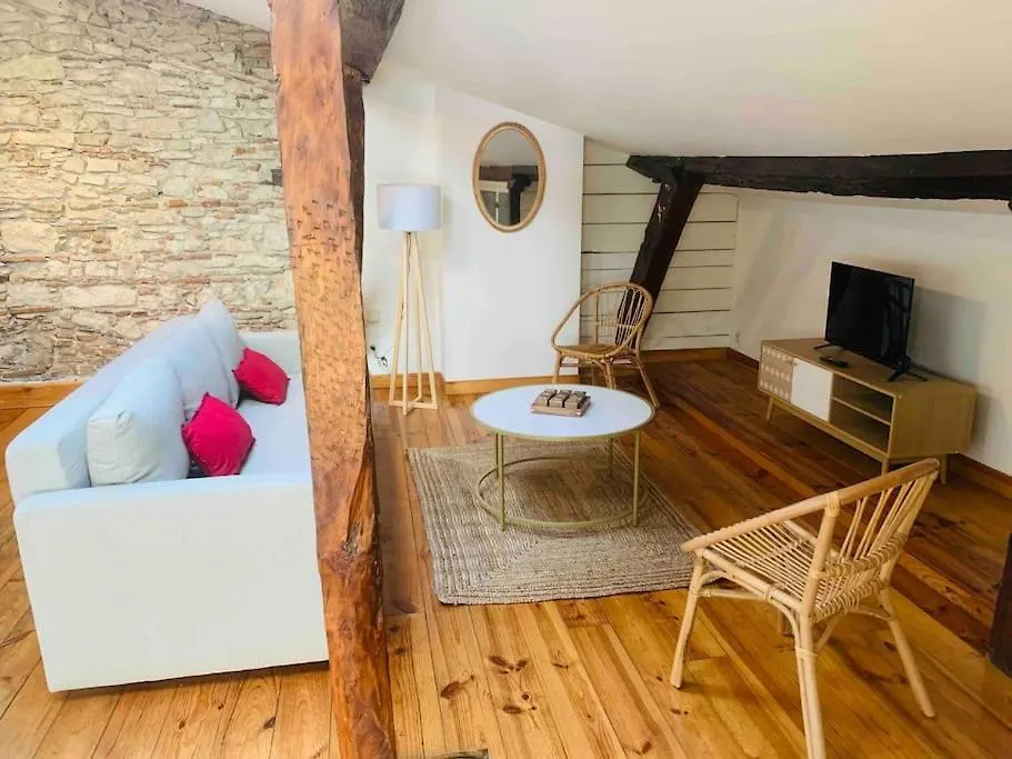 Apartmán Spacieux Appartement En Plein Coeur De Castres Castres