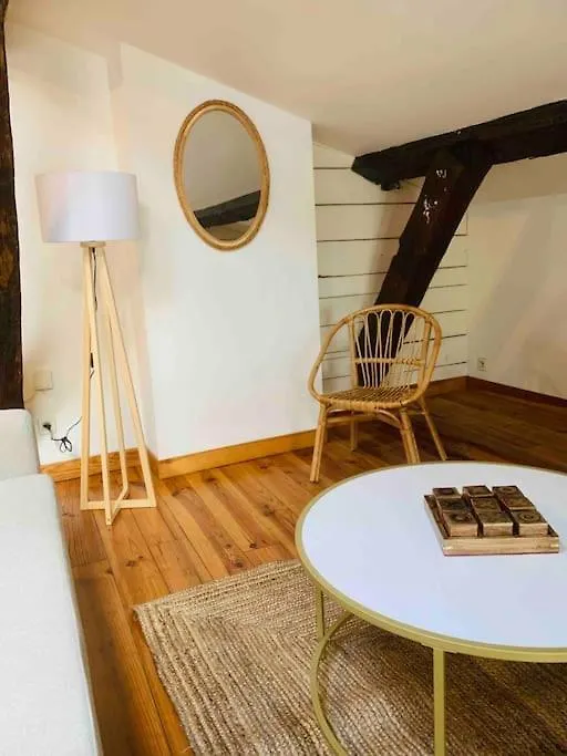 Spacieux Appartement En Plein Coeur De Castres Castres  0*, Castres (Tarn)