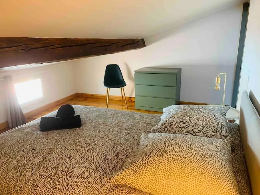 Spacieux Appartement En Plein Coeur De Castres Castres  0*, Castres (Tarn) Francie