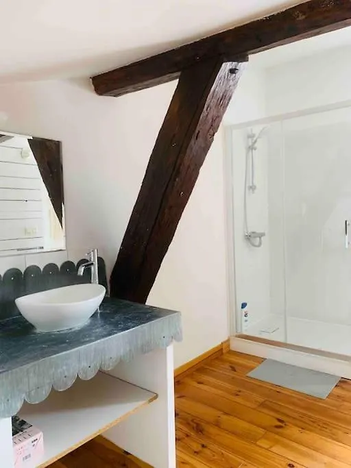 Apartmán Spacieux Appartement En Plein Coeur De Castres Castres